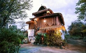 The Rabbit Tree Hostel